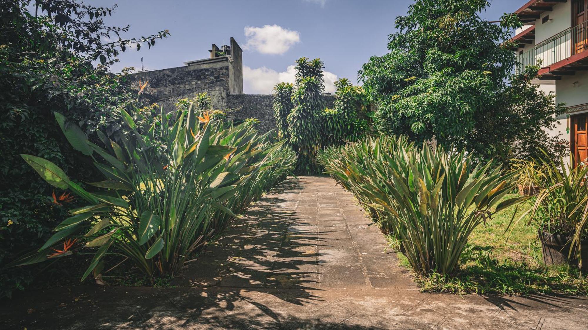 Hotel Montecillo Coatepec  Dış mekan fotoğraf